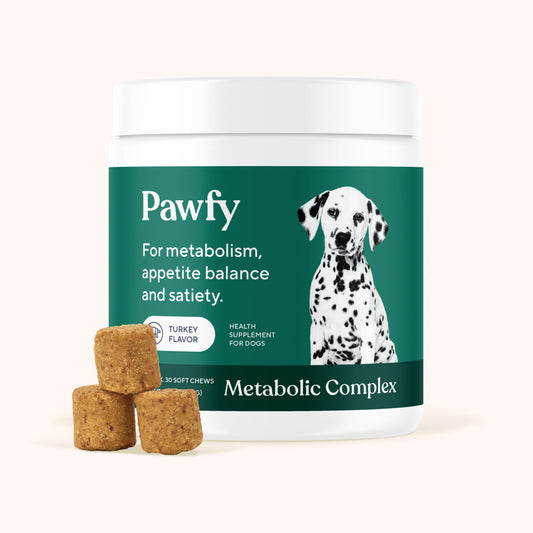 Complexe Métabolique Chien — Gestion du Poids & Digestion Saine