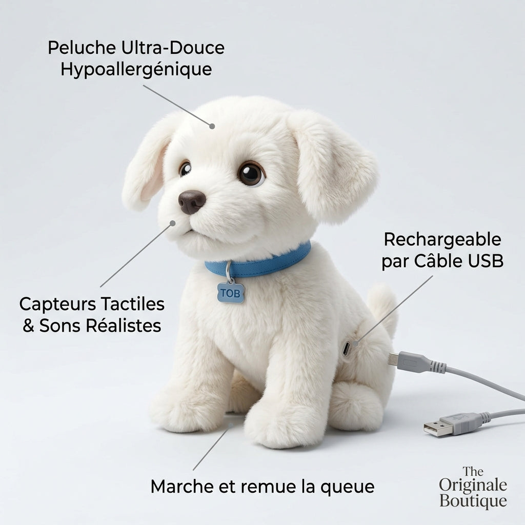 Infographie Chiot