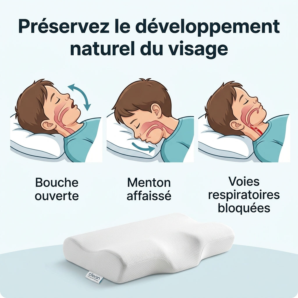 Développement Visage & Voies Respiratoires